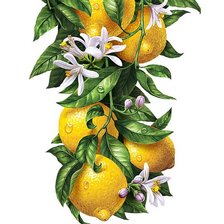 Cross stitch pattern: #1129216