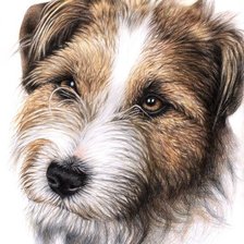 Cross stitch pattern: #1131179