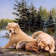 Cross stitch pattern: #1132866