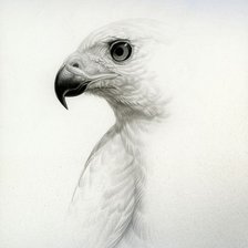 Cross stitch pattern: #1133779
