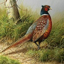 Cross stitch pattern: #1133936