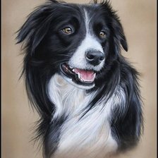 Cross stitch pattern: #1134032