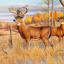 Cross stitch pattern: #1134108