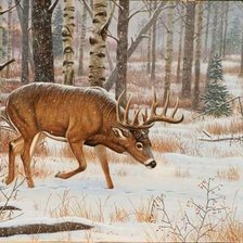 Cross stitch pattern: #1134116