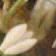 Preview of cross stitch pattern: #1135083