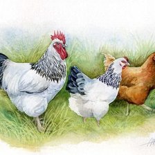 Cross stitch pattern: #1135263