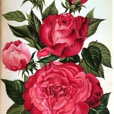 Cross stitch pattern: #1135340