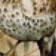 Preview of cross stitch pattern: #1136340