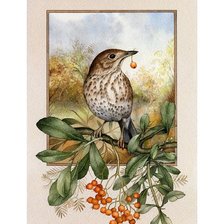 Cross stitch pattern: #1136340