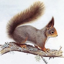 Cross stitch pattern: #1136883