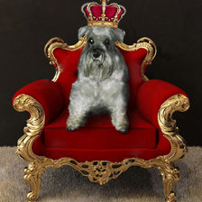 Cross stitch pattern: #1136925