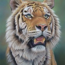 Cross stitch pattern: #1138056