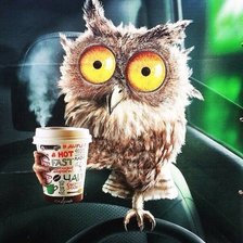 Cross stitch pattern: #1142771