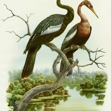 Cross stitch pattern: #1145862