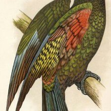 Cross stitch pattern: #1146281