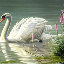 Cross stitch pattern: #1146749