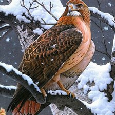 Cross stitch pattern: #1147012