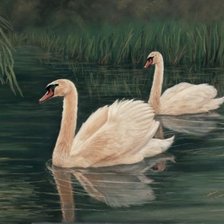 Cross stitch pattern: #1148249