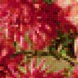 Preview of cross stitch pattern: #1148782