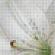 Preview of cross stitch pattern: #1148869