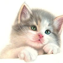 Cross stitch pattern: #1149400
