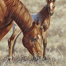 Cross stitch pattern: #1149474