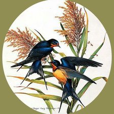 Cross stitch pattern: #1150045