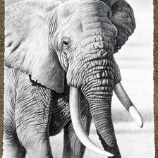 Cross stitch pattern: #1154536