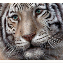 Cross stitch pattern: #1155542
