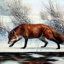 Cross stitch pattern: #1157294