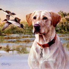 Cross stitch pattern: #1159014