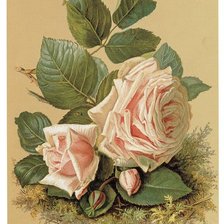 Cross stitch pattern: #1159103