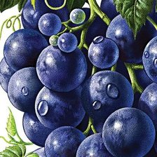 Cross stitch pattern: #1161041