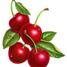 Cross stitch pattern: #1161044