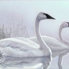Cross stitch pattern: #1162106