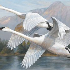 Cross stitch pattern: #1162117