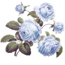 Cross stitch pattern: #1163058