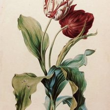 Cross stitch pattern: #1163280