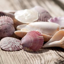 Cross stitch pattern: #1163312