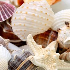 Cross stitch pattern: #1163314