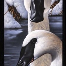 Cross stitch pattern: #1164093