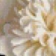 Preview of cross stitch pattern: #1165534