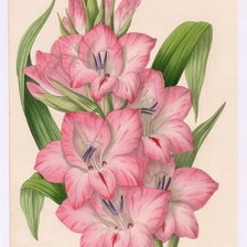 Cross stitch pattern: #1166750