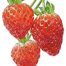Cross stitch pattern: #1167440
