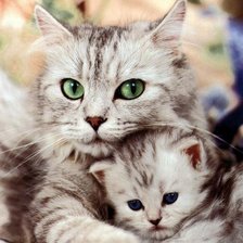 Cross stitch pattern: #1167836