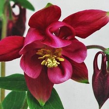 Cross stitch pattern: #1168907