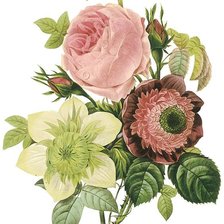Cross stitch pattern: #1172187