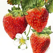 Cross stitch pattern: #1174241
