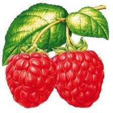 Cross stitch pattern: #1174273