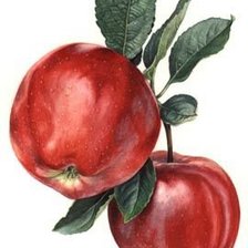 Cross stitch pattern: #1174285